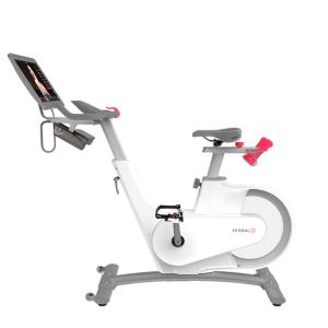 Купить Велотренажер Yesoul BV1-W PLUS в Бежецке 